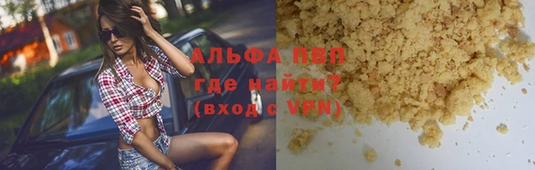 мдпв Вяземский