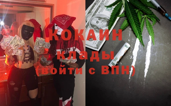мдпв Вяземский