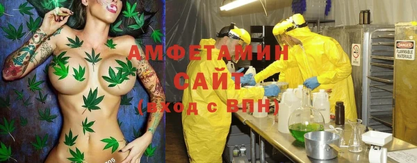 мдпв Вяземский