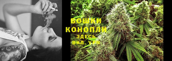 PSILOCYBIN Зеленодольск