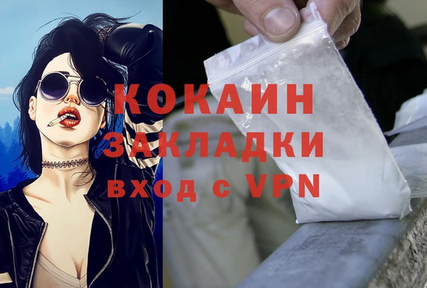 PSILOCYBIN Зеленодольск