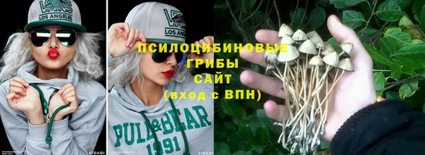 мдпв Вяземский