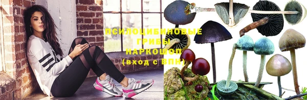 прущие крисы Вязники