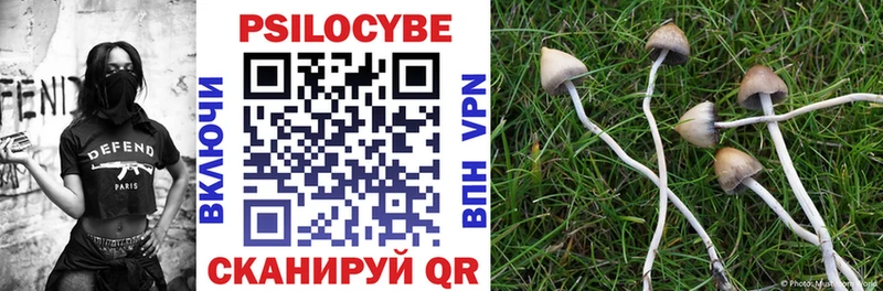 Псилоцибиновые грибы Psilocybe Купить Красновишерск